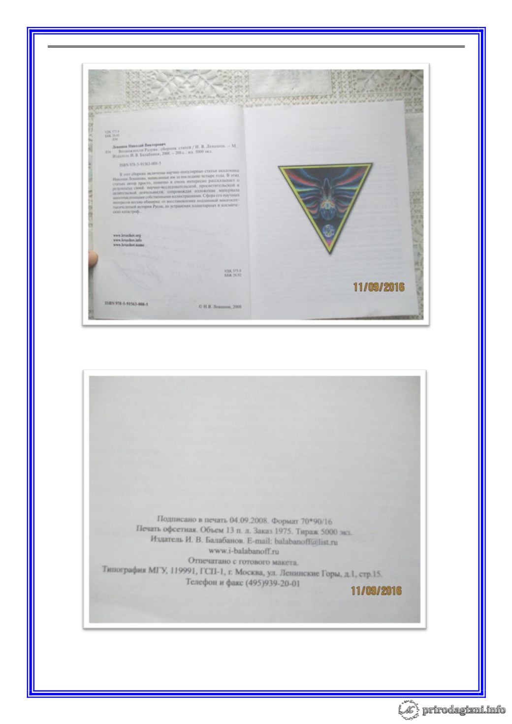 Page Background