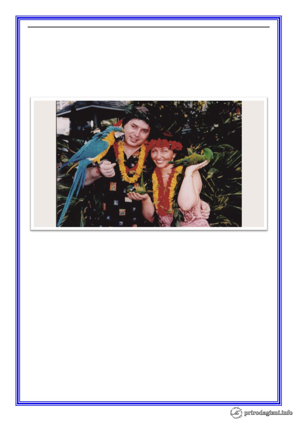 Page Background