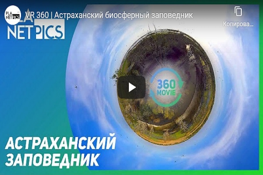 Видео 360 | Астраханский биосферный заповедник