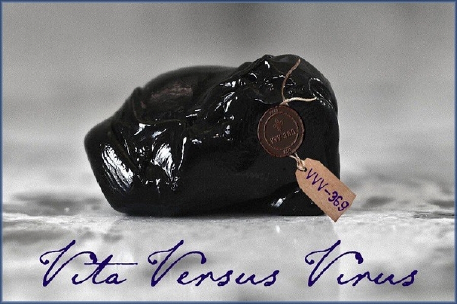 Vita Versus Virus (VVV–369)  или Жизнь против Вируса