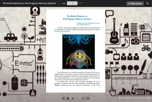 The Brain Memory or  the Program Memory System!
