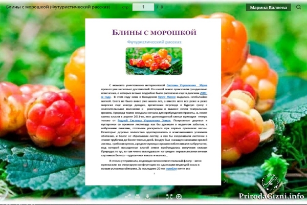 БЛИНЫ С МОРОШКОЙ (Футуристический рассказ)